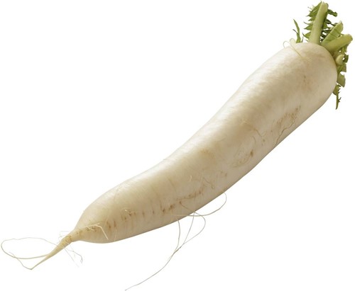 Rettich  per kg