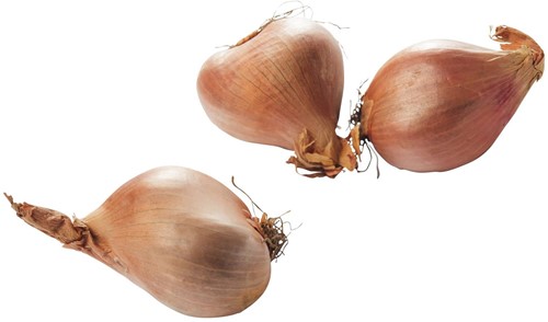 Sjalotten kist 5 kg