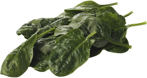 Spinazie Vers per KG