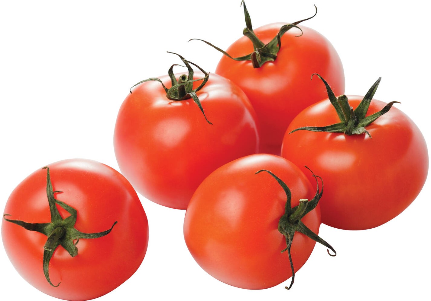 Dutch Tomatoes 57-67 mm 6 kg