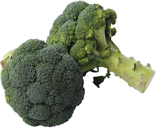 Broccoli Vers 500 Gr
