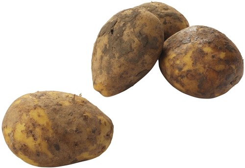 Bonken Aardappels 2,5 kg