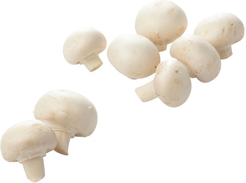 Champignons Fijn los Kist 4 kg