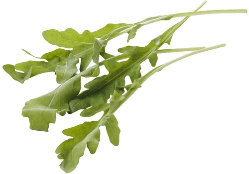Rucola Per 1 stuks