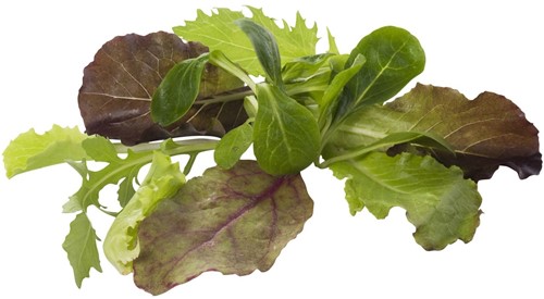 Mesclun/Babyleaf los Kist 1 kilo