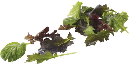 Mesclun 125 gram