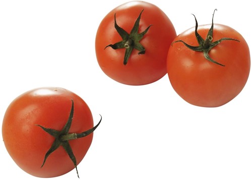 Tomaten Hollandse 30-40 mm Verpakt 500 gram