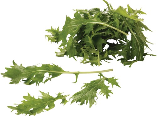 Mizuna groen 125 gr