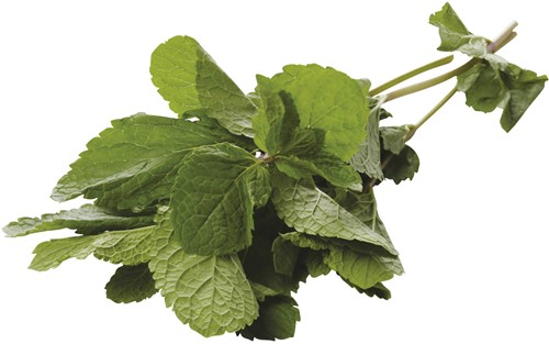 Mint Los Doos 1 Kg