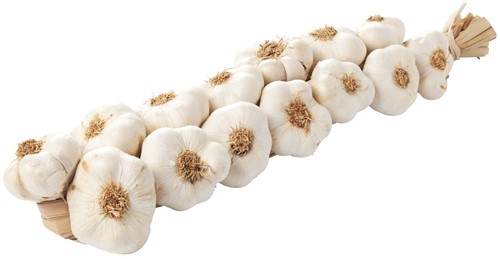 Knoflook [ Streng ] Per 1 stuks