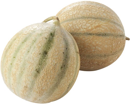 Meloenen [Cantaloupe] Maat 5 Per 1 stuks