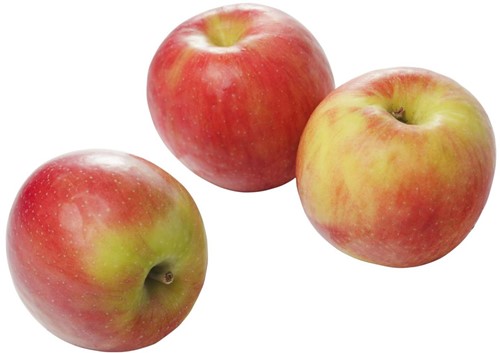 Appels [Elstar] Kist 11 kg