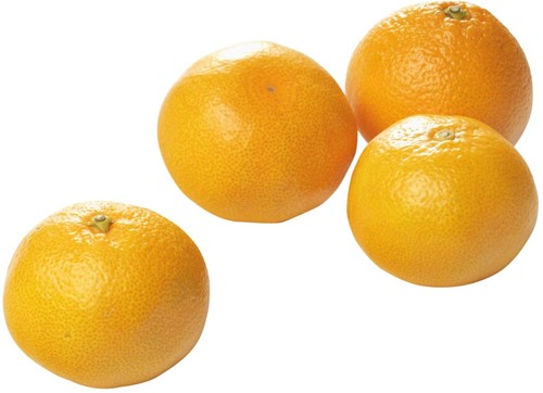 Mandarijnen kist 10 kg