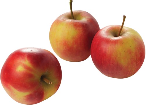Appels [Pink Lady] Verpakt 6 stuks/1 kg