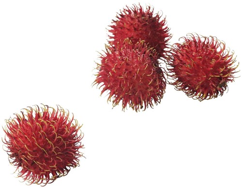 Ramboetan Verpakt 250 gr