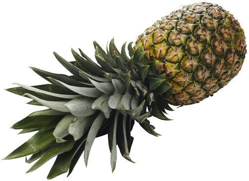 Verse Ananas Groot Kist 6 stuks