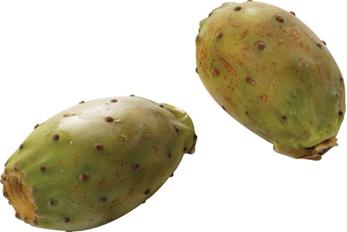 Cactusvijg Per 1 stuks
