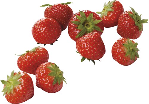 Aardbeien Groot 500 Gr Kist 12 stuks