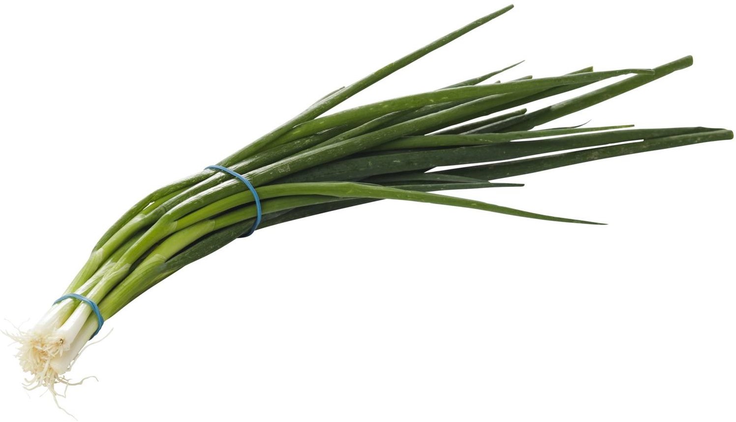 Spring Onions Long 14 Pcs