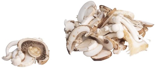 Paddenstoelenmix Gesneden 1 Kg