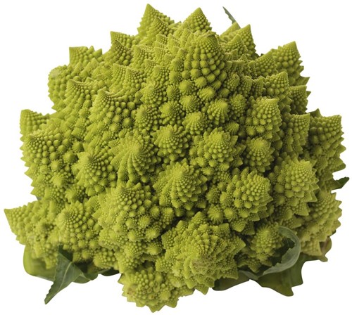 Romanesco bloemkool Per 1 stuks