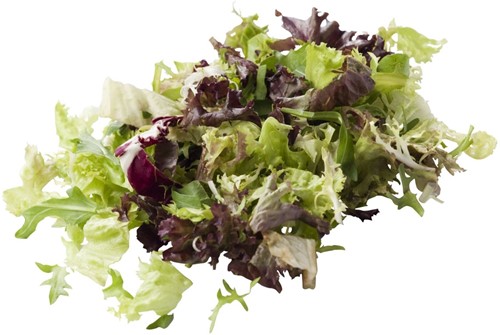 Slamix Rucola 500 gram