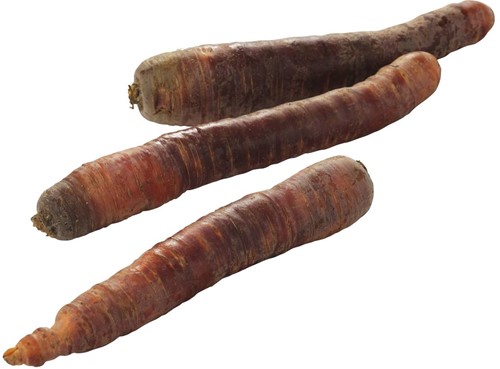 Winterpeen Paars 1 kg