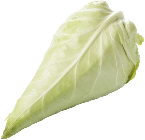 Spitskool per stuk 800/900 Gr