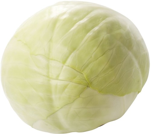 Witte kool 6x2,5 Kg
