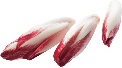 Witlof [Rood] Kist 3 kg