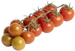 Mini Plum Tomatoes on the Vine Box 3 kg