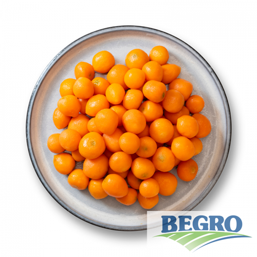 Wortelen Parijse 18-24 Mm 2,5 Kg