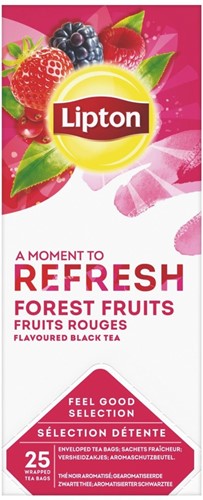 Lipton Feel Good Forest Fruit Tea 6x25x2 Gr