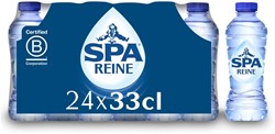 Spa Blue 24X33 cl (PET)