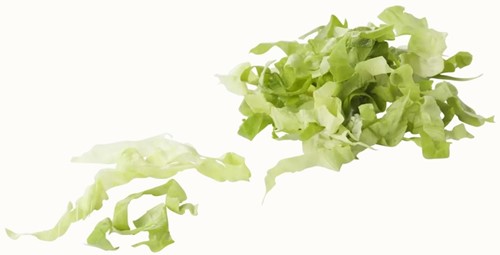 Andijvie gesneden 5mm 1kg